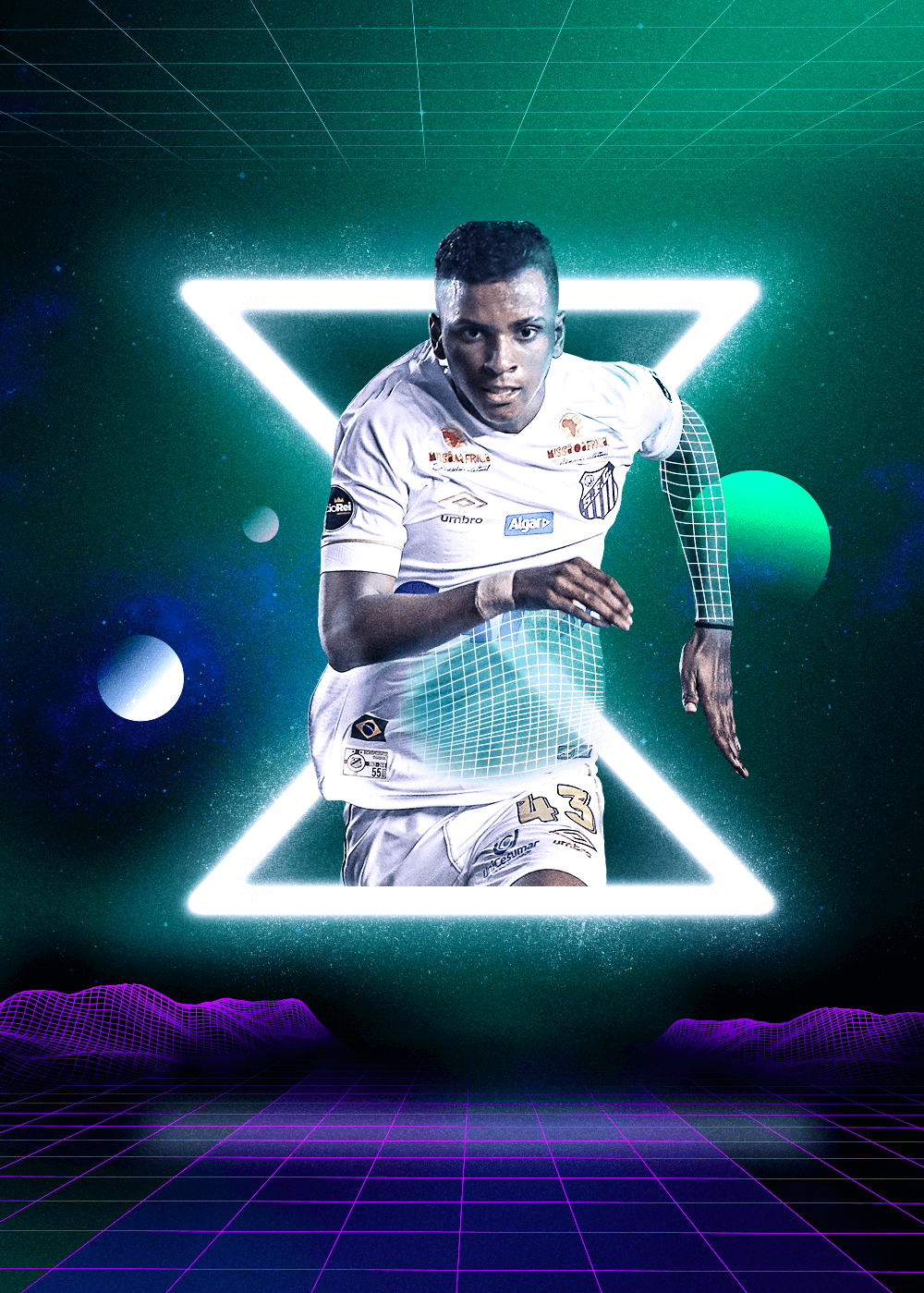 的培养体系 的培养体系